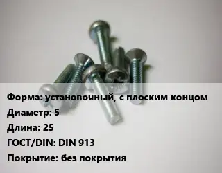 Винт установочный, с плоским концом 5х25 DIN 913 без покрытия